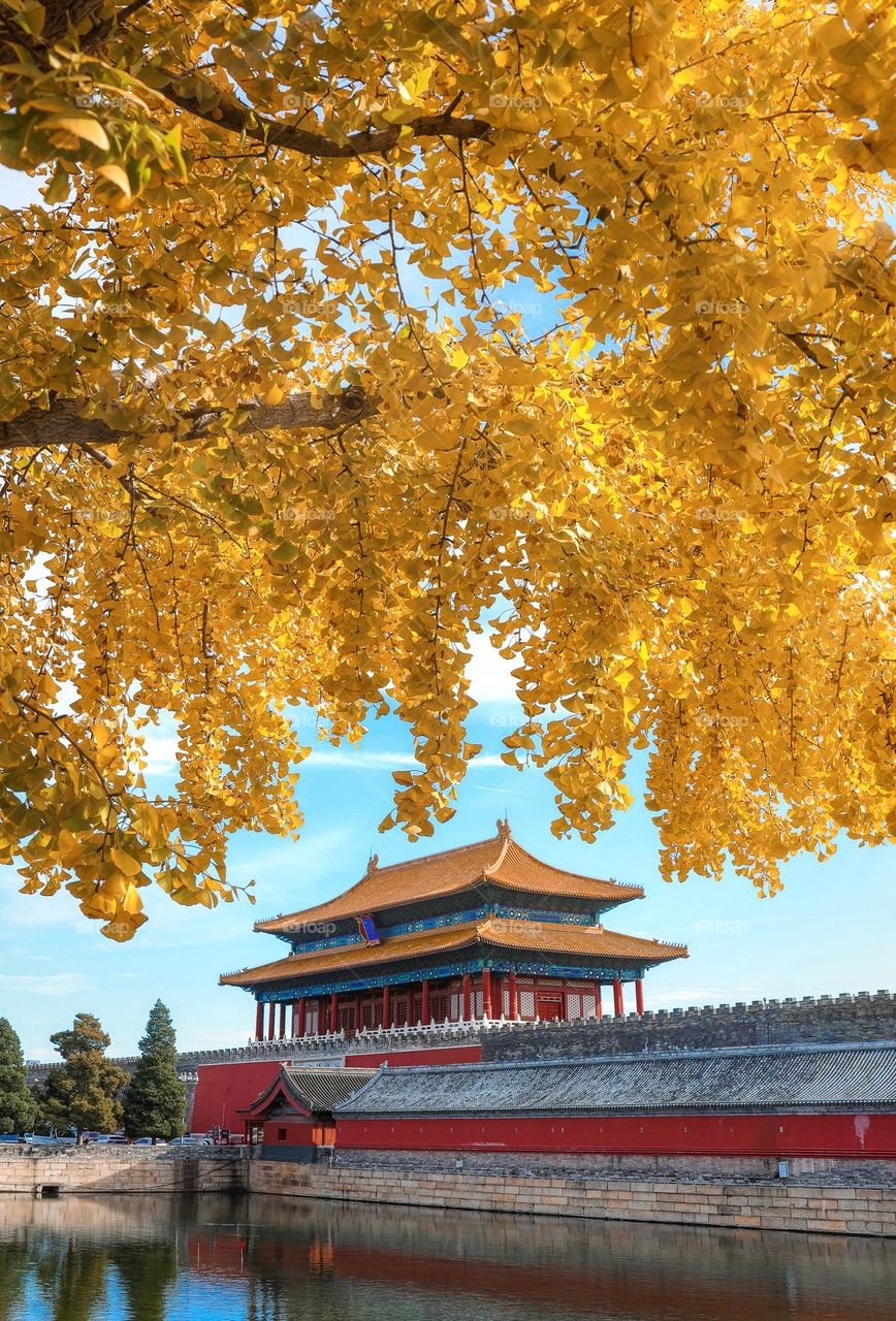 Autumn in the ancient capital