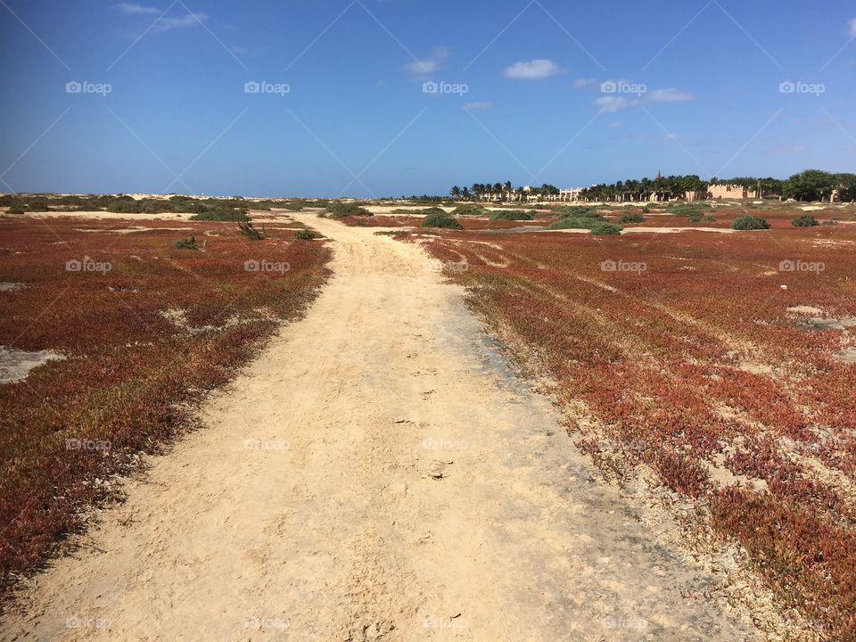 Road in Kap Verde 