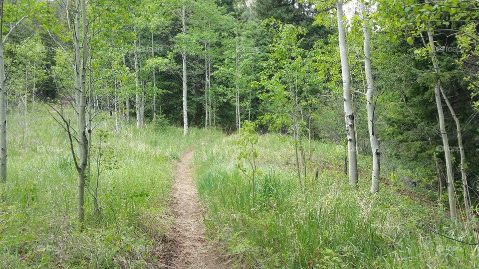 Hiking path near the water