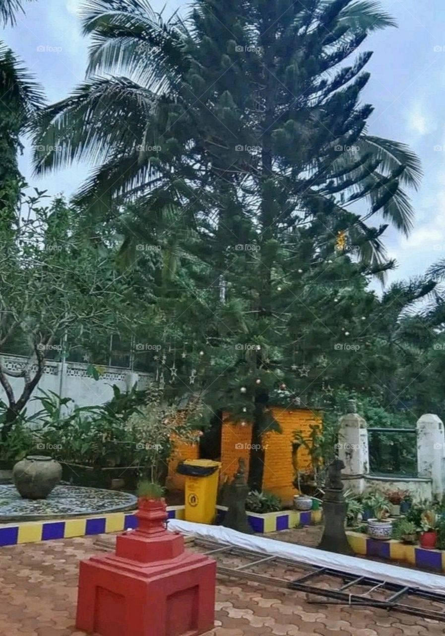 August 14, 2023 rajasthan india. A beautiful and attractive view in the garden.