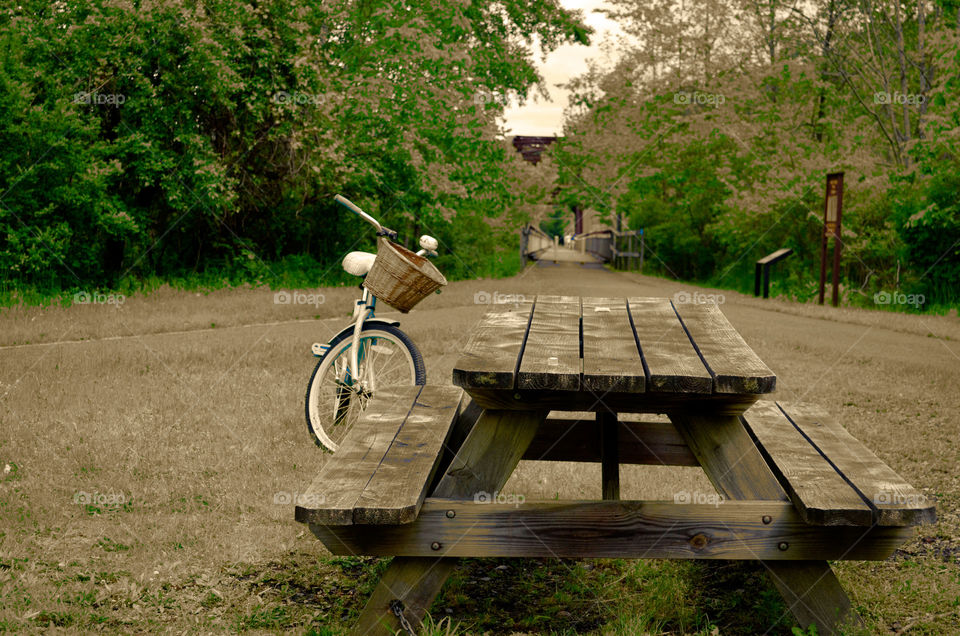 Take the Nostalgic Way Home ( Series )