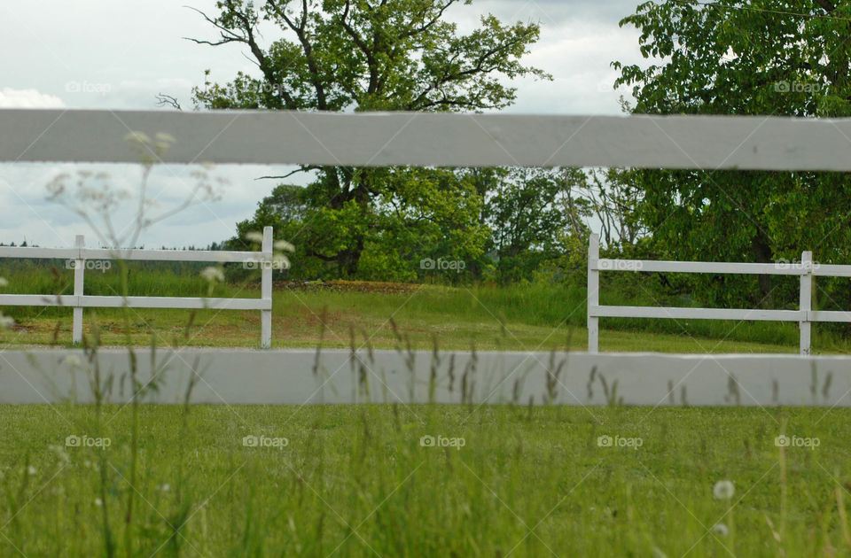 fence field paddock