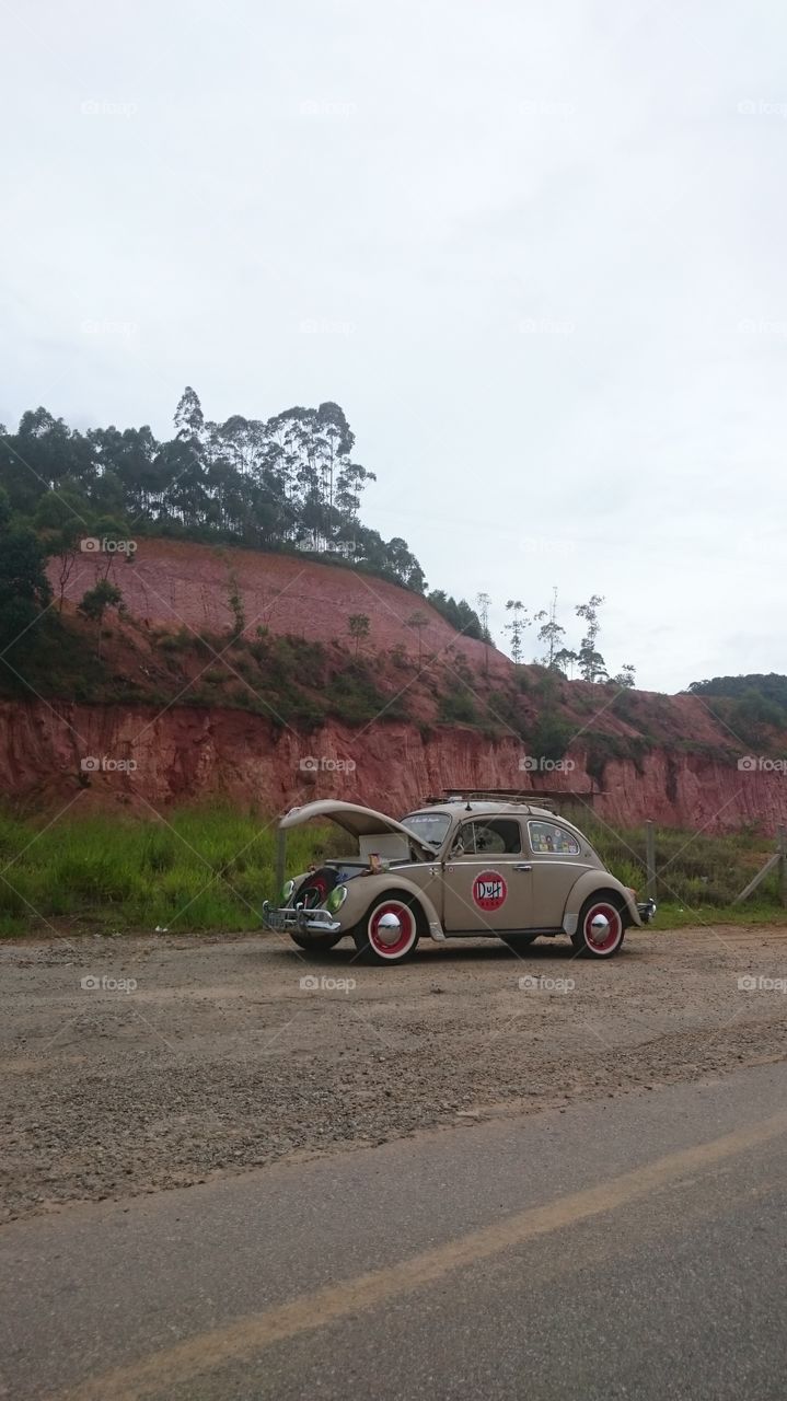 fusca