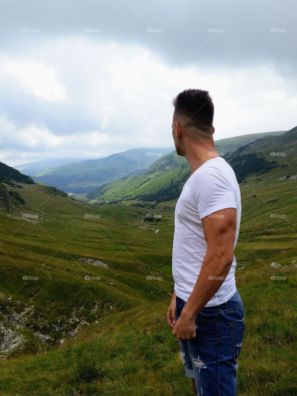 Transalpina landscape