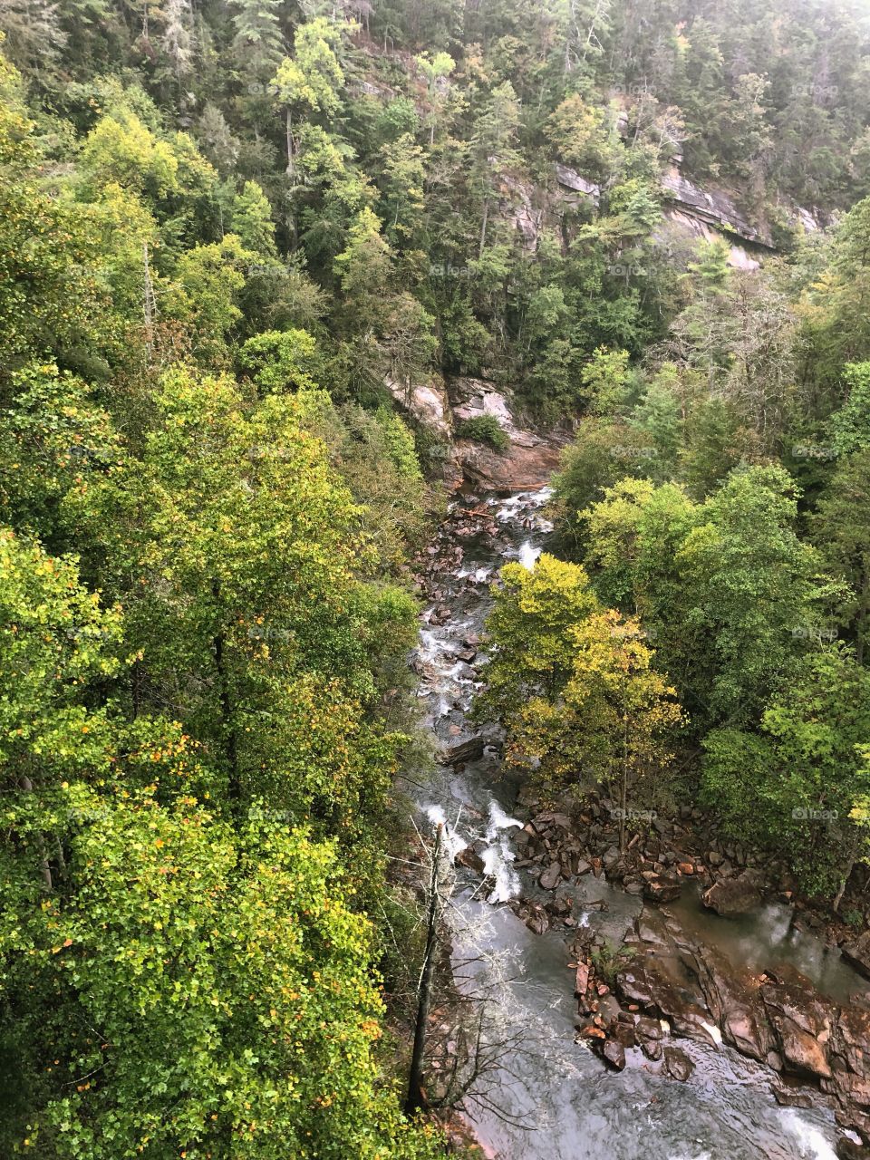 Flowing water in North Georgia 