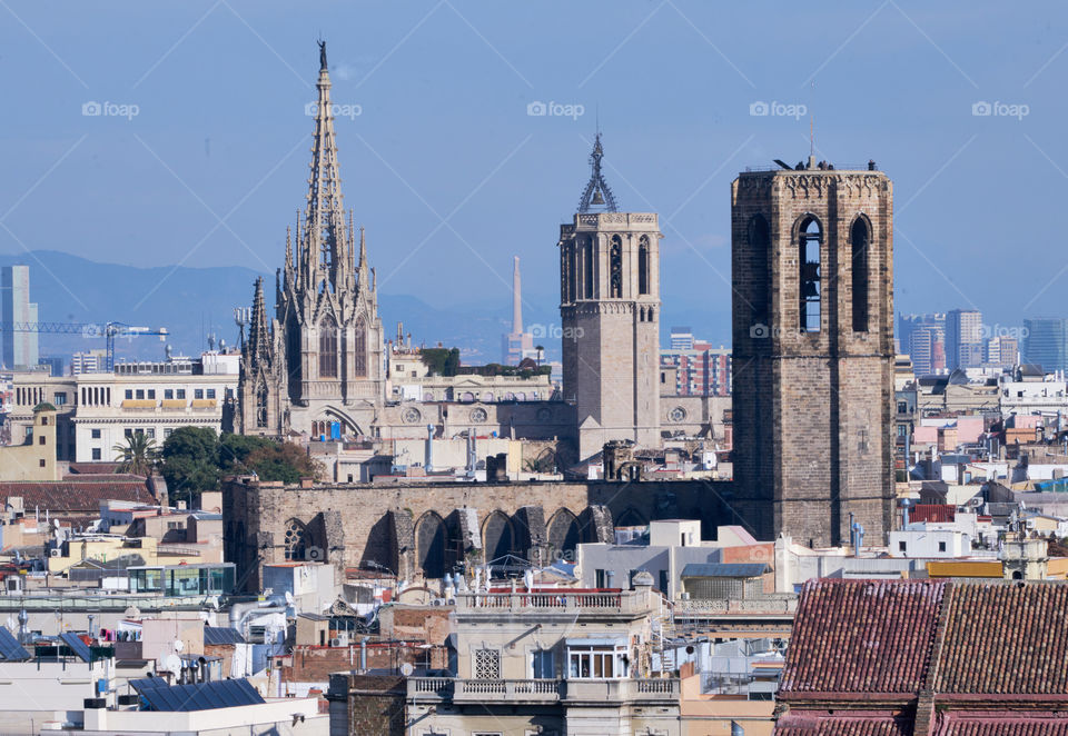 Vista de la Catedral y la Iglesia del Pi