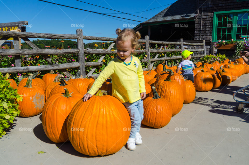 Pumpkin picking 