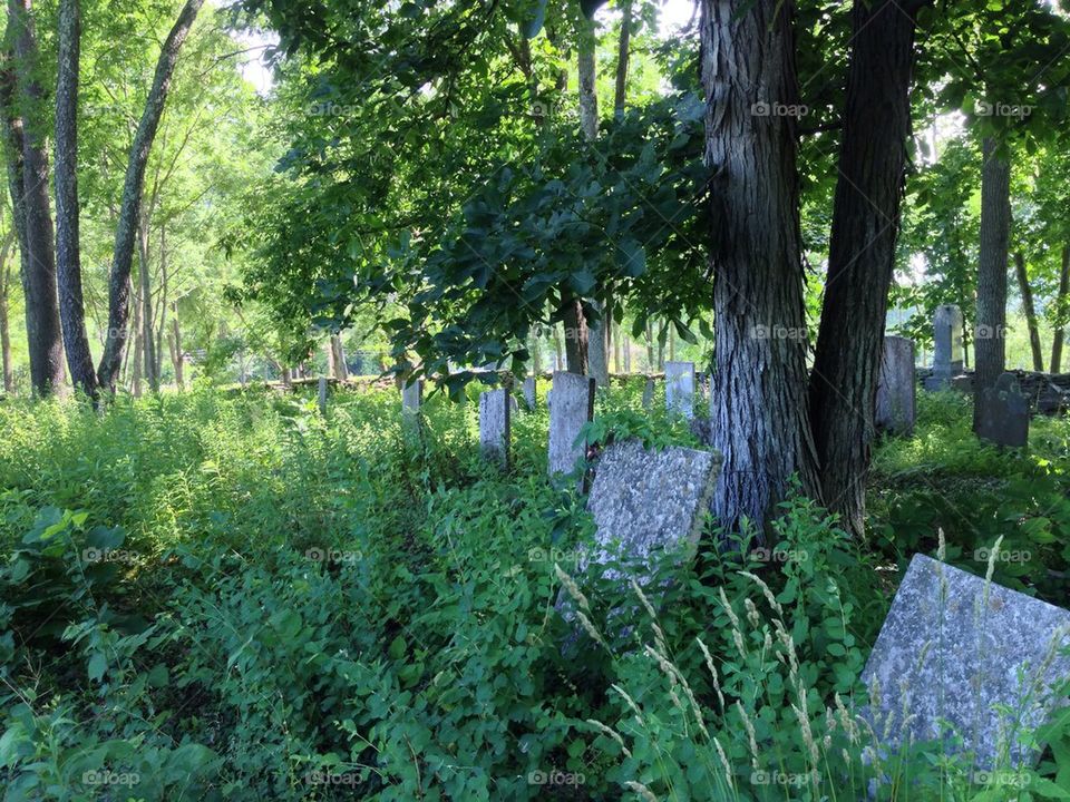 Old Cemetery stones