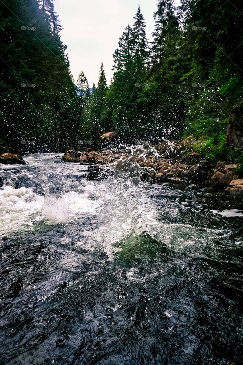 Splash