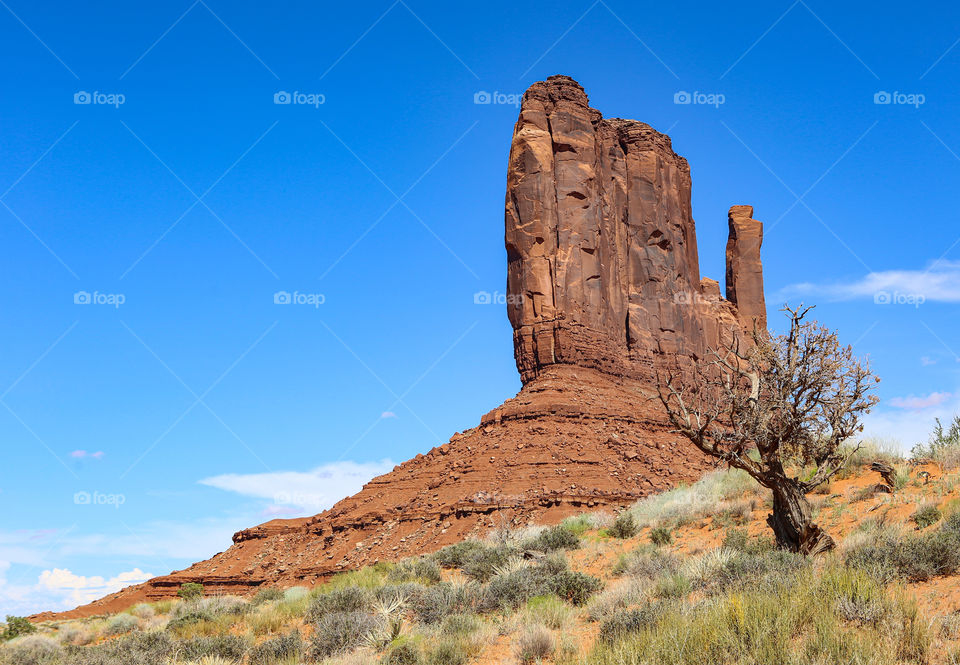 Monument volley tree 