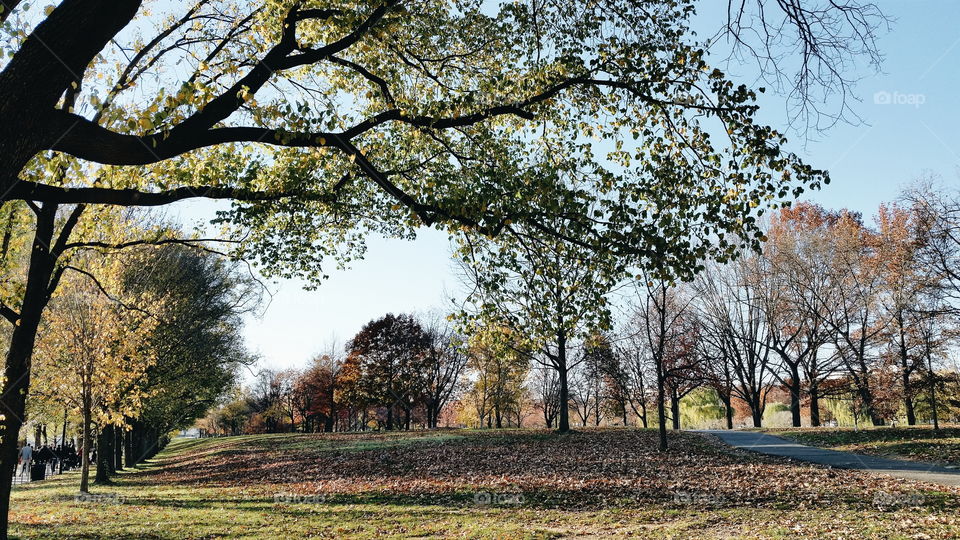 Fall in D.C.