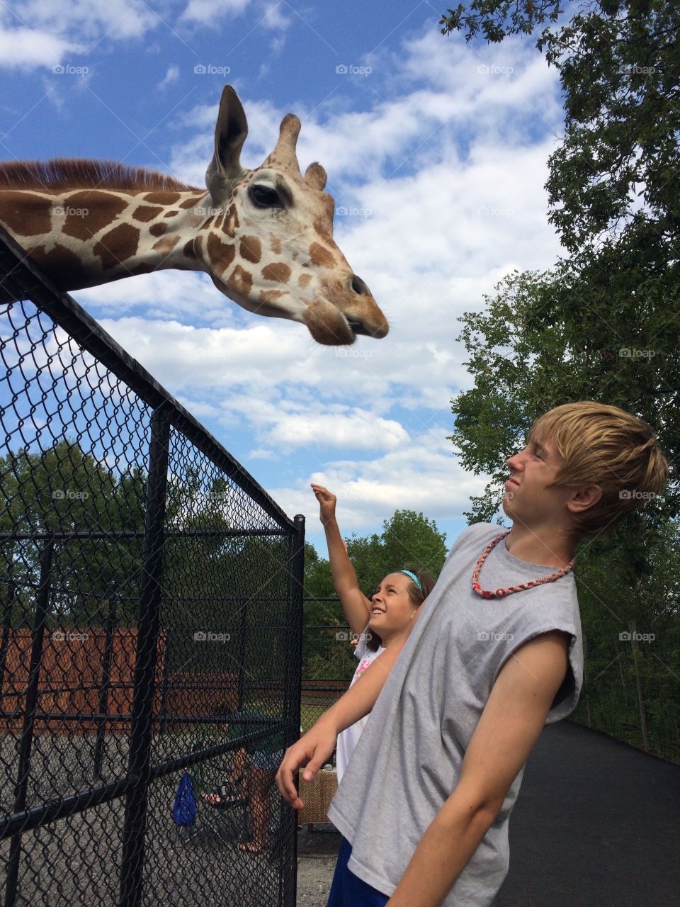 Teenage boy and girl standing in front of giraffe at zoo