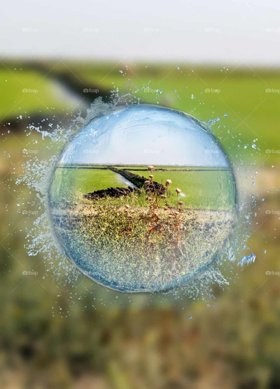 a splash of nature landscape