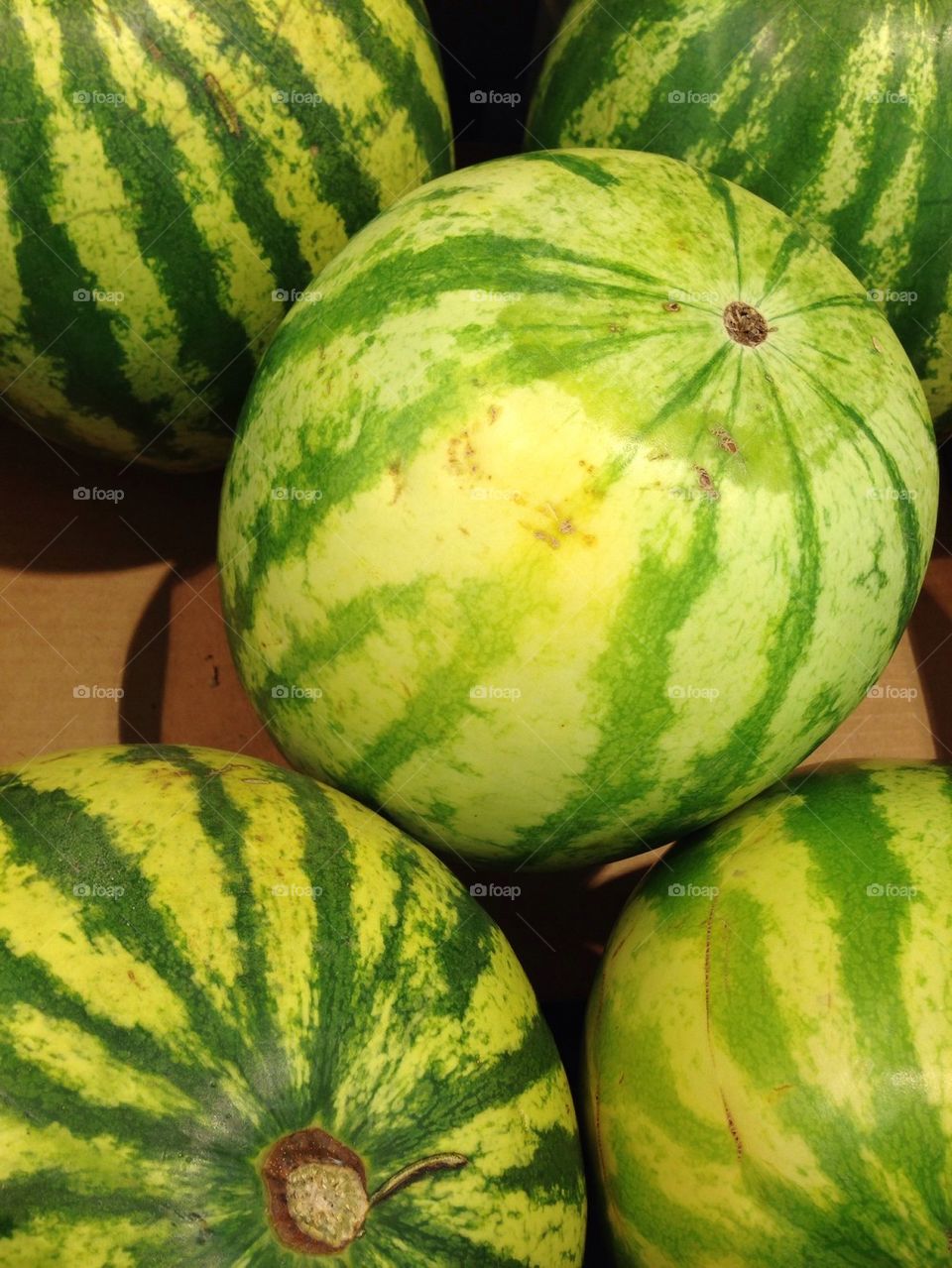 Melons