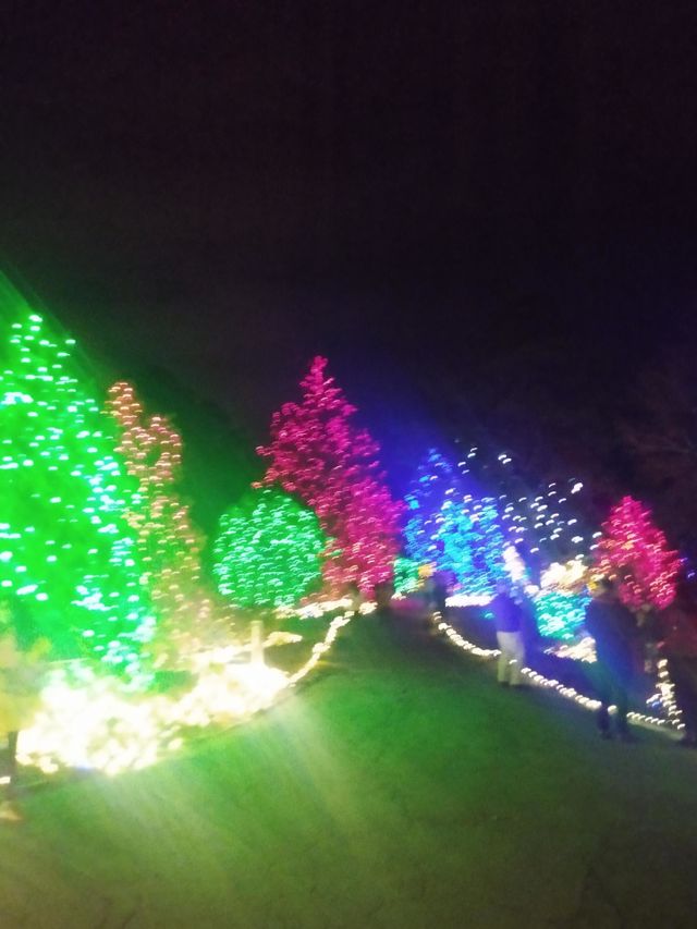 Christmas garden of lights
