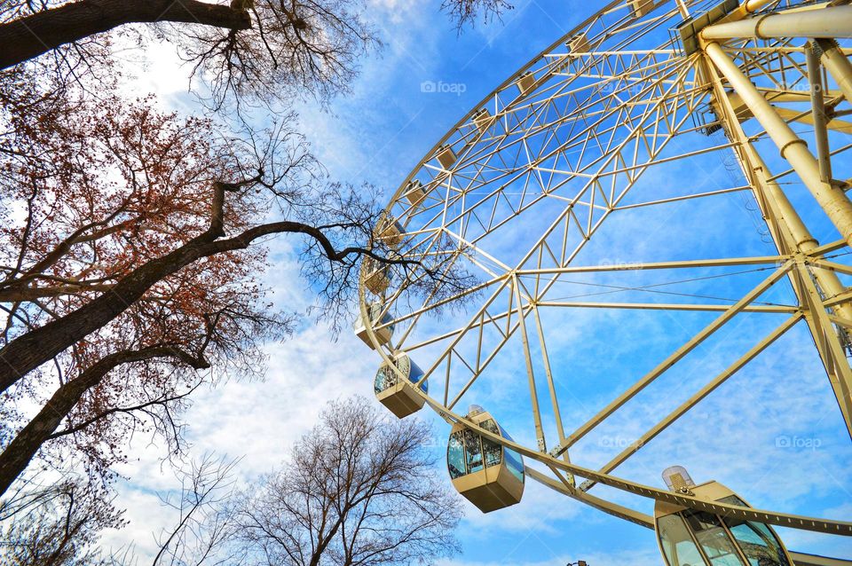 photo in the park near the viewing wheel