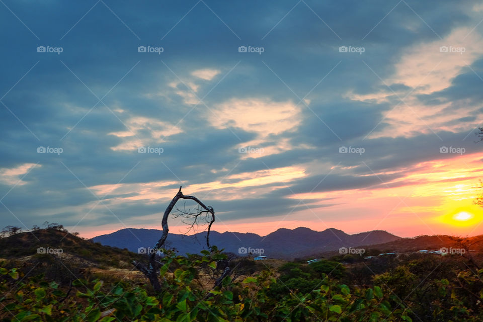 atardecer azul en el campo