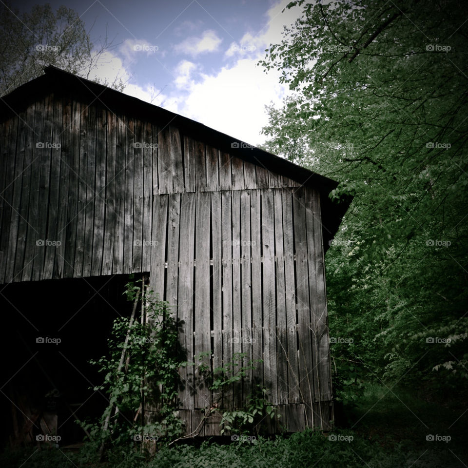 Old Kentucky barn