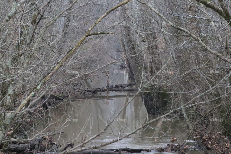 Creek 