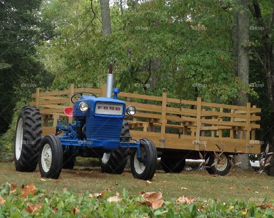 Hay Ride Anyone?  Tractor Love....