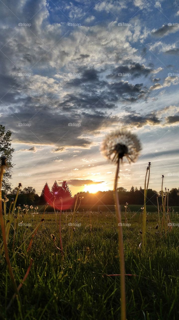 No Person, Sun, Sunset, Dawn, Landscape