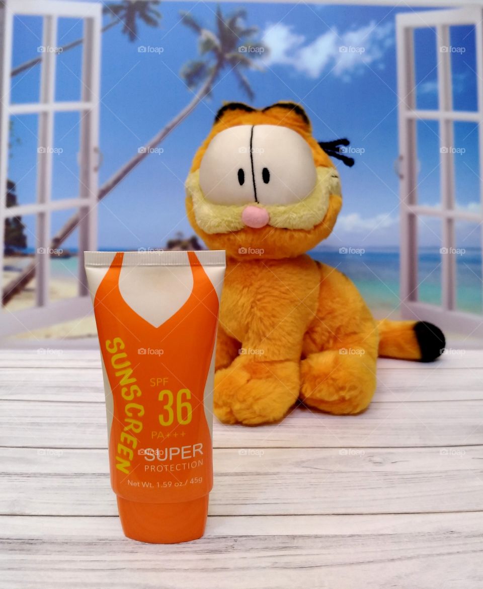 Cute cat and sunscreen
