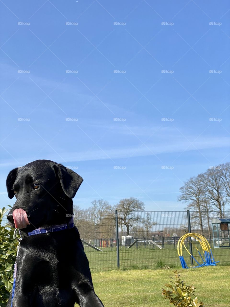 Ich bin immer lieb..