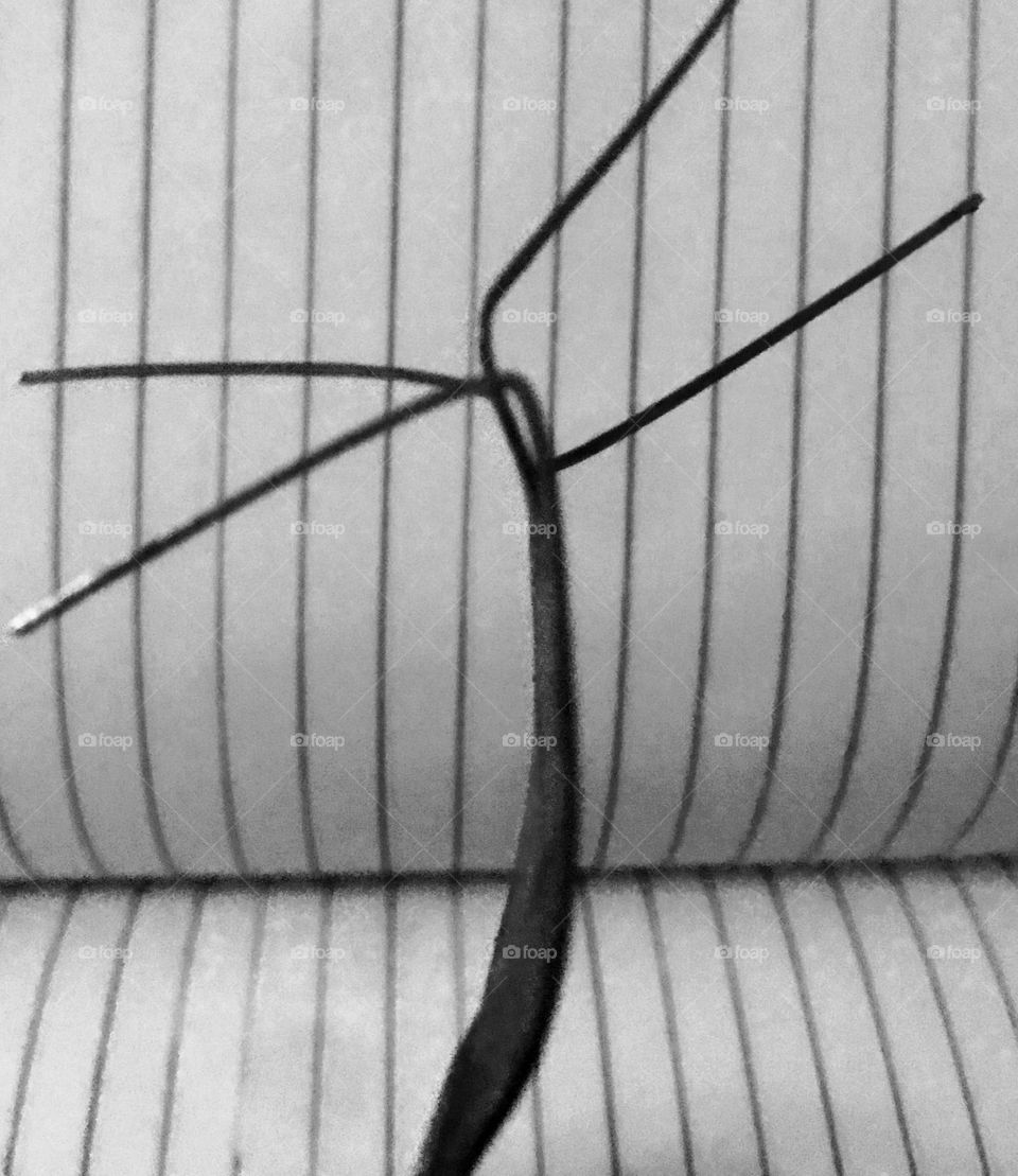 the moment you set your eyes on a creative image displayed on a screen, you keep imagining the possibilities of the creativity 