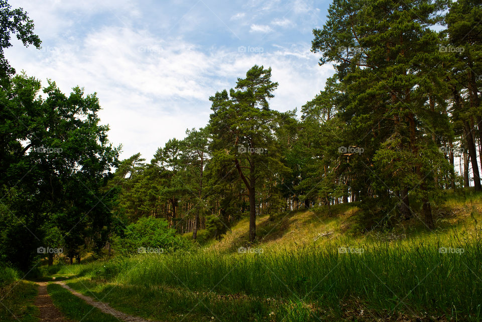 Landscape müritz national park