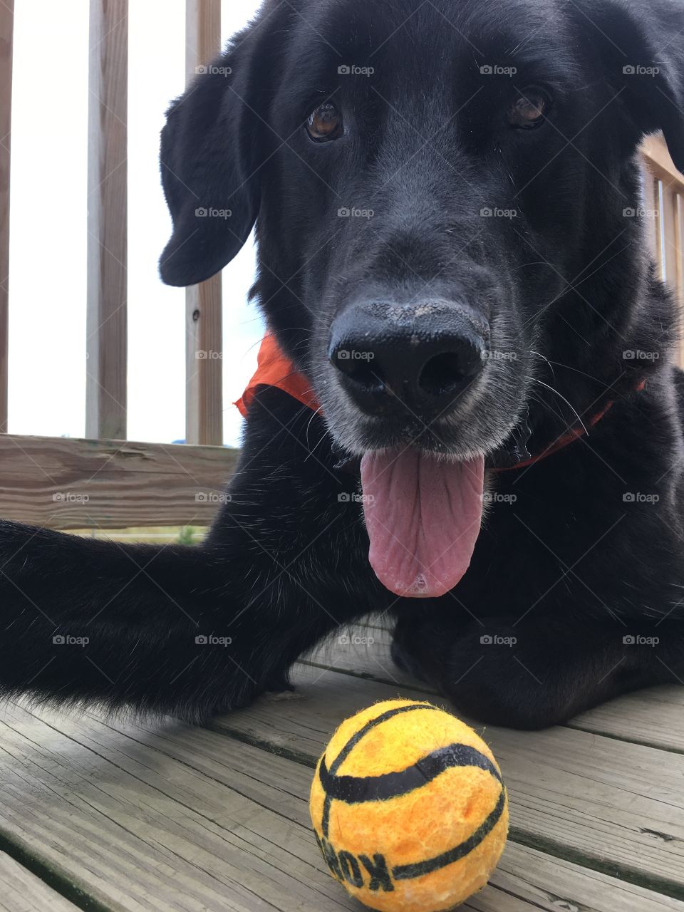 A boy and his ball