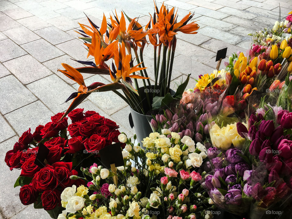 Finally It Is Warm Enough To Move The Flowers Outside