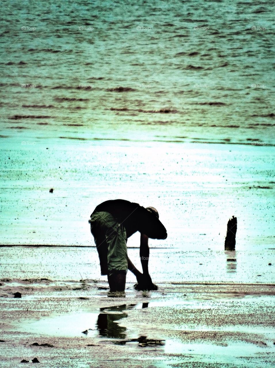 A man searching for clams