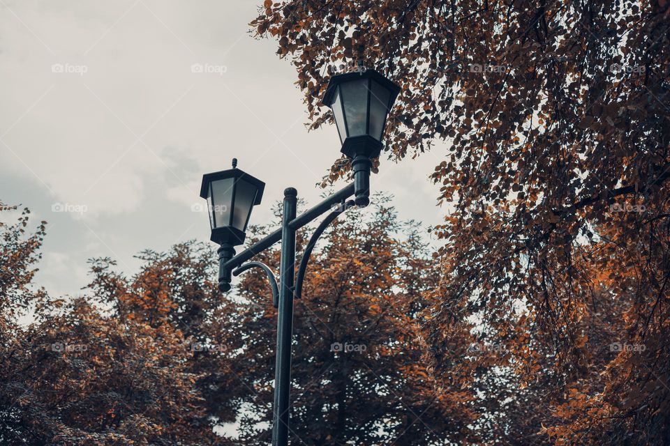 Street lamp against an autumn leaves