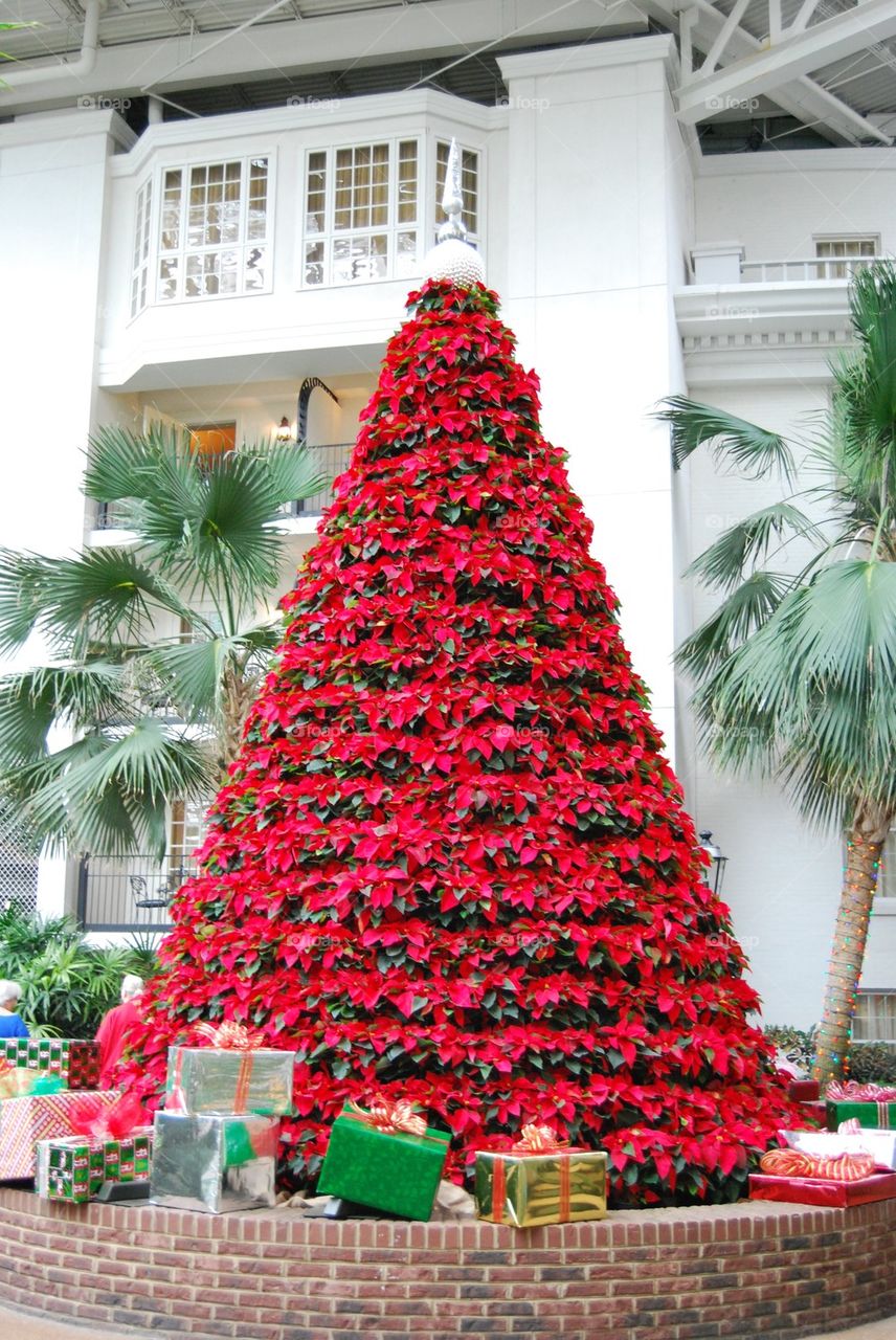 Poinsettia Christmas Tree