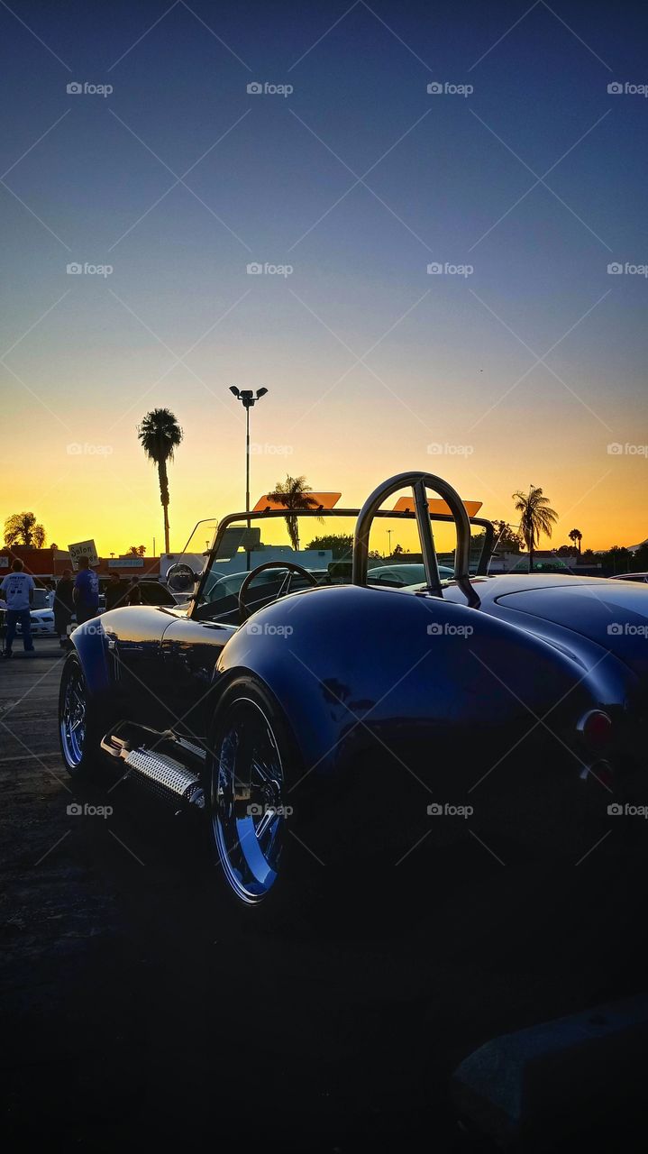 Cobra Sunset