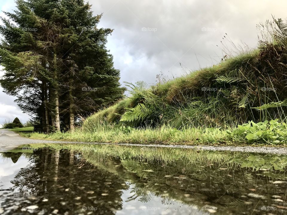 Reflection in puddle.