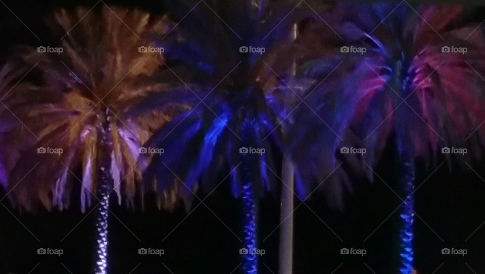 Lighted Palm tree