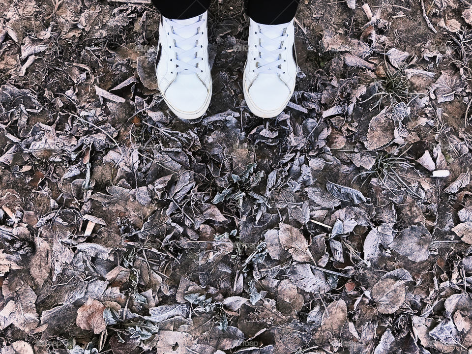 Female feet standing on brown fallen autumn leaves covered by winter frost