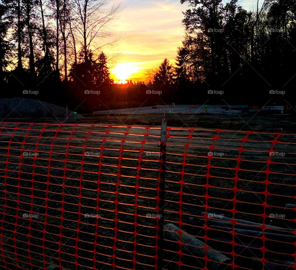 A beautiful yellow sunset peeking through the trees from a construction lot waiting for development.