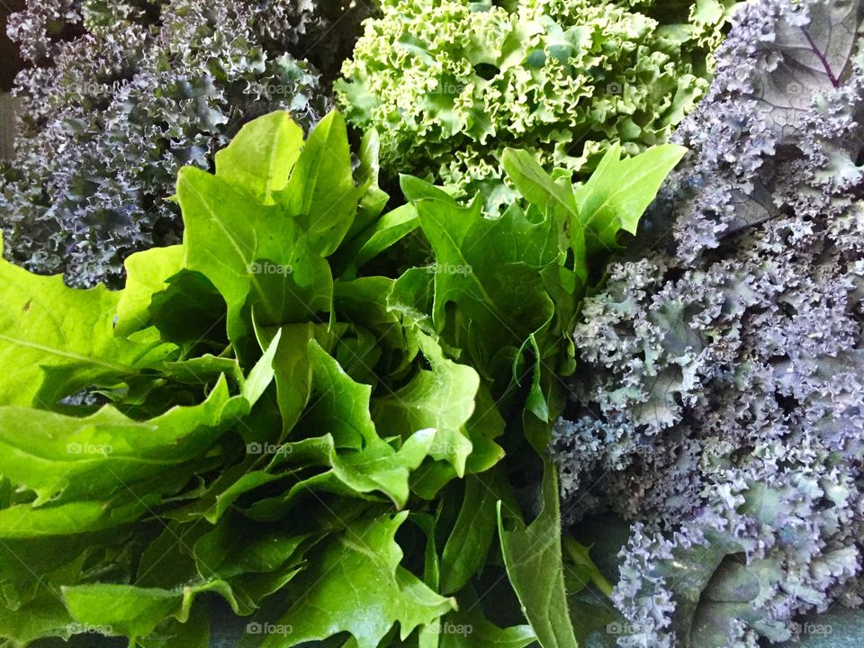 Creative Textures - red and green kale