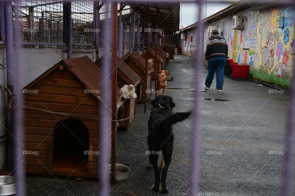 People, No Person, Building, Mammal, Daylight