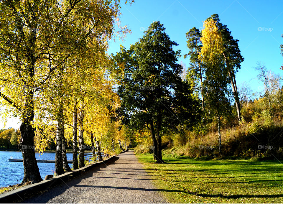 Autumn by Bogstadvannet, Oslo. Norway. 