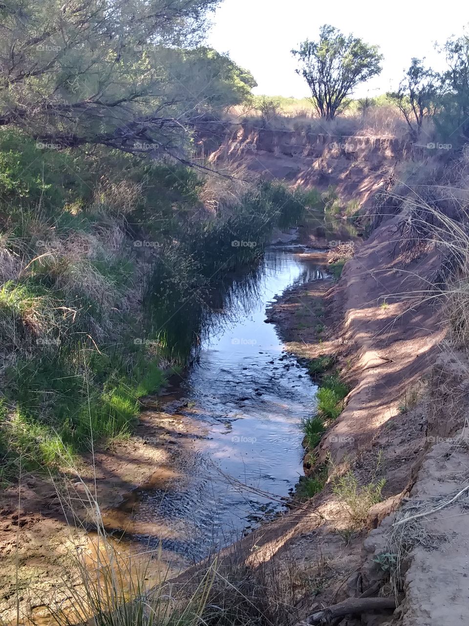 landscape water stream canyon erosion san pedro riperian protected wetland