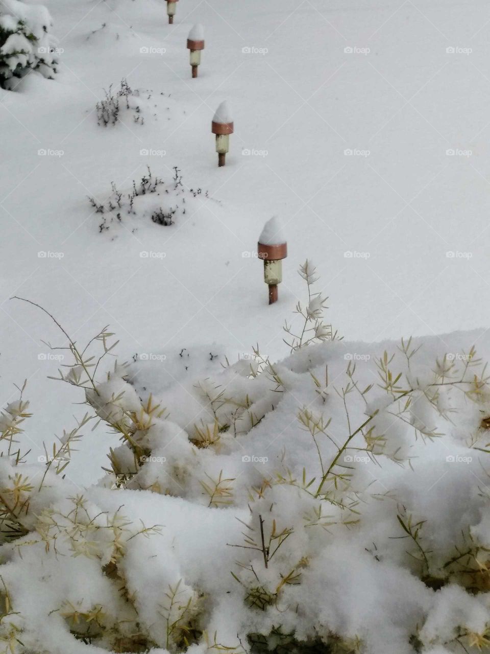 Snow Cone Solar Lights