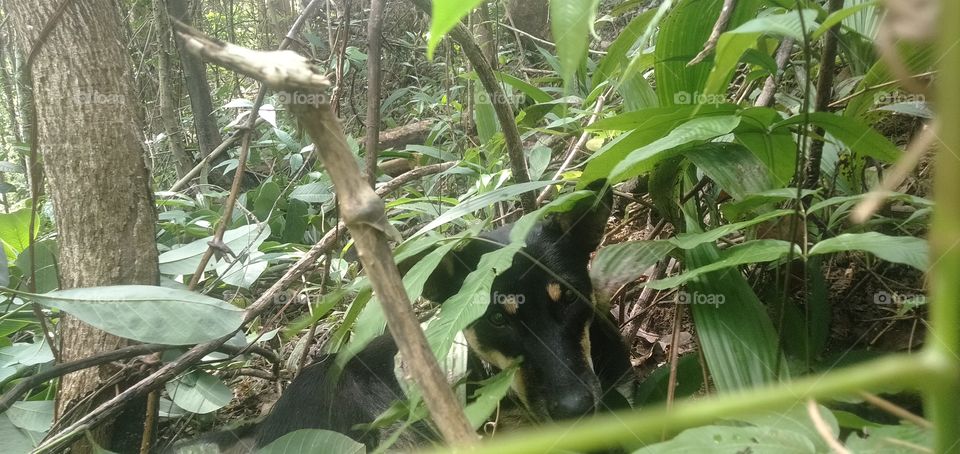 she has is own story to hide! i got you buddy.