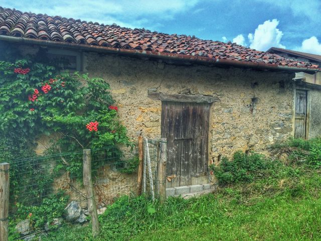 house