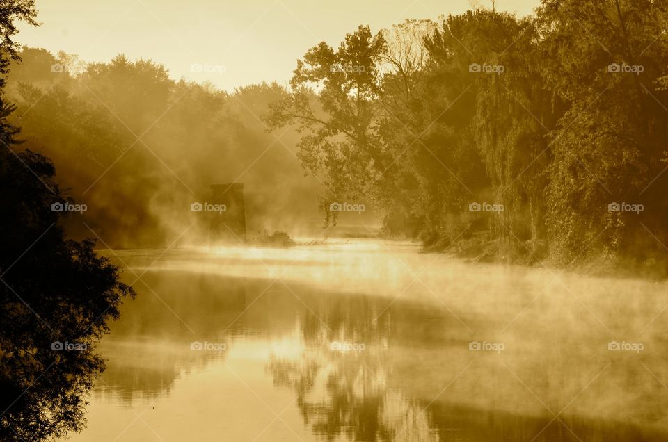 Golden River fog