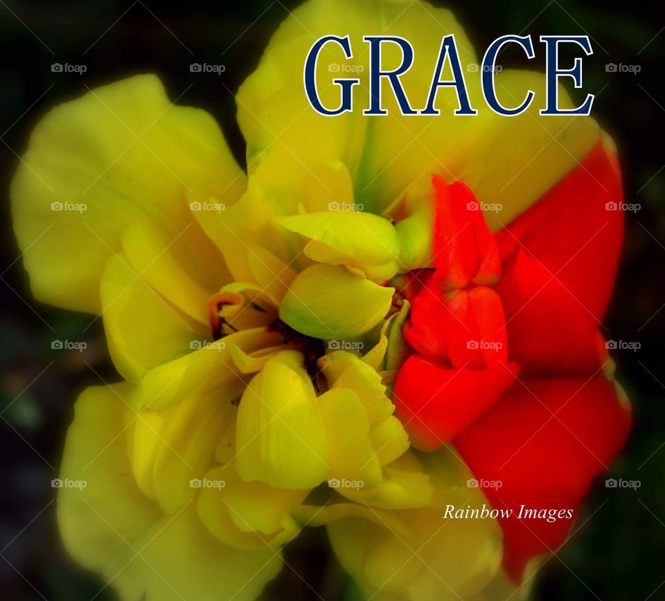 Grace Abounds