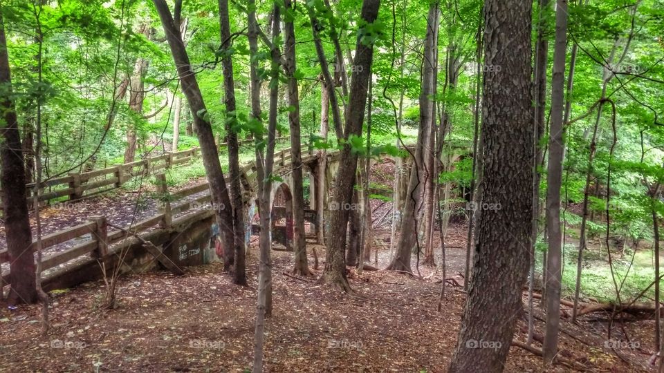 Abandoned Bridge