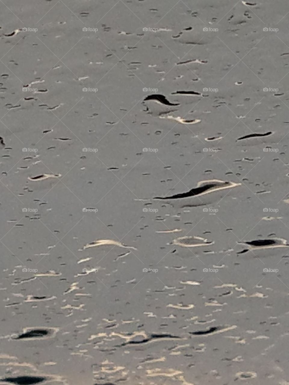 Raindrops on the Windshield